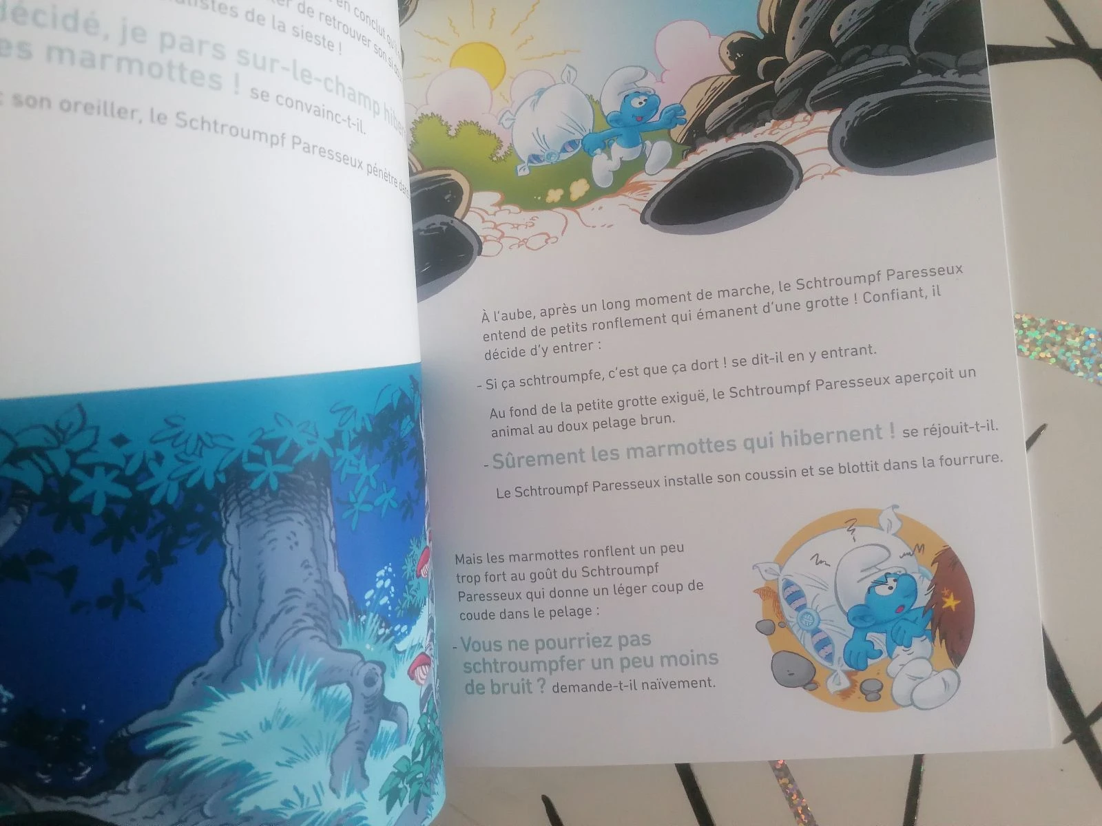 Levert de schtroumps 📘 – photo 8